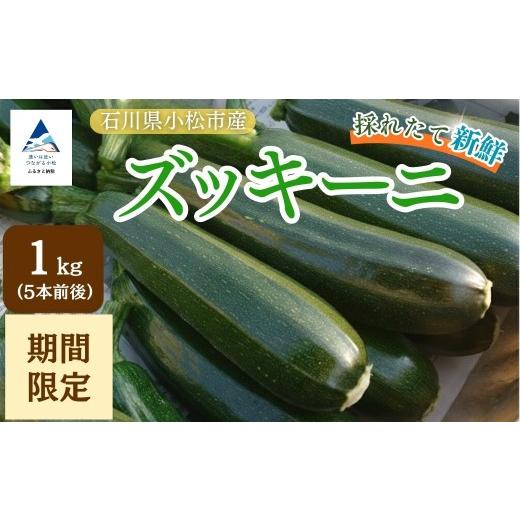 ふるさと納税 野菜類 石川県 小松市 ズッキーニ 約1kg (5本前後) ずっきーに 小松市産 | 石川県 小松市 JAあぐり 1kg(5本前後)