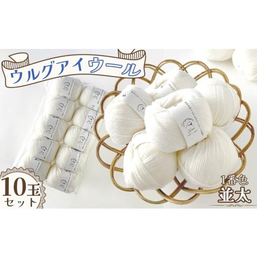 ふるさと納税 手芸 愛知県 江南市 毛糸 ウルグアイウール並太 1番色 10玉セット / ウール100% 並太毛糸 手編み 編み物 ハンドメイド 冬小物 マフラー 帽子 …