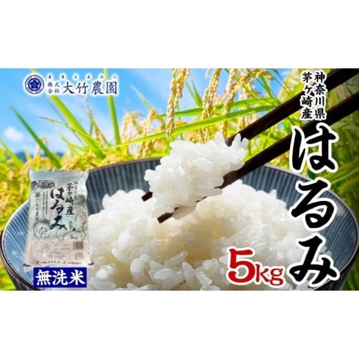 ふるさと納税 無洗米 神奈川県 茅ヶ崎市 茅ヶ崎市産 はるみ 無洗米 5kg 特A 甘み 粘り つぶ感 しっかり ふっくら つやつや 冷めても美味しい 白米 精米 神奈川…