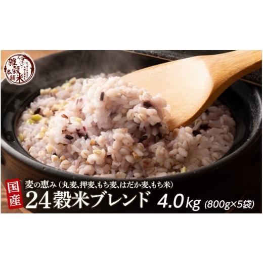 ふるさと納税 雑穀 静岡県 静岡市 麦の恵み24穀米ブレンド 4kg(800g×5袋)