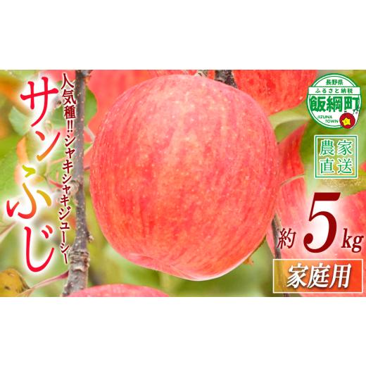 ふるさと納税 りんご 長野県 飯綱町 年明け発送 / 2027年1月発送 りんご サンふじ 家庭用 5kg 令和8年度収穫分 沖縄県への配送不可 2027年1月上旬頃から順次…