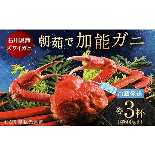 ふるさと納税 カニ ずわいガニ 石川県 加賀市 朝茹で加能ガニ姿3杯入り 蟹 かに ズワイガニ グルメ 海産物 贈り物 加賀 F6P-3187 3杯