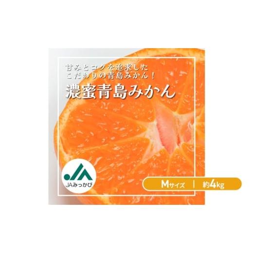 ふるさと納税 果物類 みかん 静岡県 浜松市 JAみっかび 濃蜜青島みかん M 約4kg 青島 三ヶ日みかん みかん ミカン 蜜柑 ギフト 甘い 糖度 静岡 浜松市 No.5360…