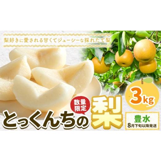 ふるさと納税 梨 茨城県 結城市 2026年先行予約 とっくんちの梨 豊水 約3kg 鈴木農園[8月下旬-9月中旬頃出荷]茨城県 結城市 数量限定 果物 フルーツ 甘み …