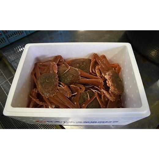 ふるさと納税 カニ ずわいガニ 北海道 浦河町 訳あり ゆでオオ