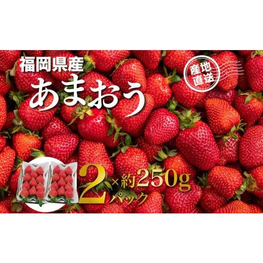 ふるさと納税 いちご 福岡県 八女市 福岡県産あまおう 約250g×2パック いちご イチゴ 苺 あまおう フルーツ 果物 くだもの 250g 2パック 福岡県 八女市