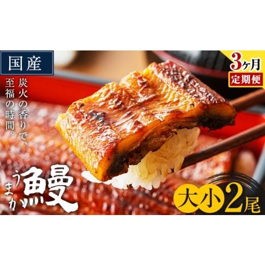 ふるさと納税 うなぎ 熊本県 御船町 3ヶ月定期便 うなぎ 大小 2尾 国産 鰻 真空パック おすすめ うなぎの蒲焼 [お申込み翌月から出荷] ふるさとのうぜい 特…