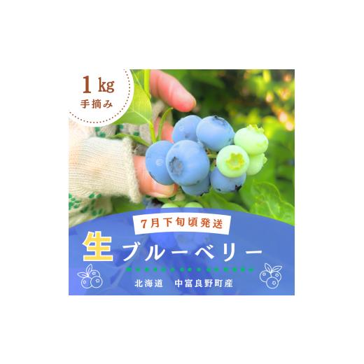 ふるさと納税 果物類 北海道 中富良野町 横山農園の生ブルーベリー1kg
