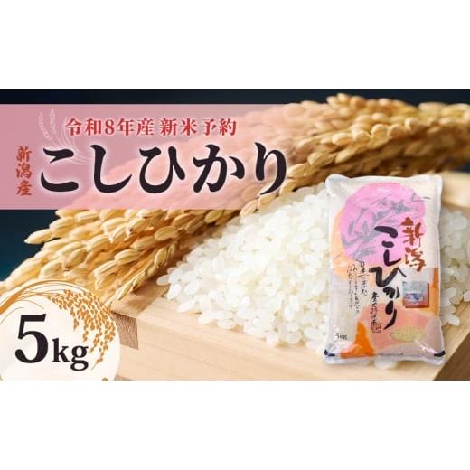 ふるさと納税 米 コシヒカリ 新潟県 新潟市 先行予約 令和8年産新米予約新潟産コシヒカリ5kg 米 精米 こしひかり お取り寄せ 新潟県 新潟市