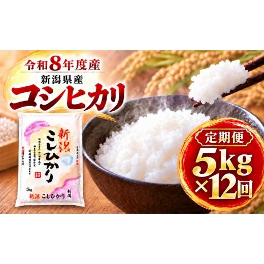 ふるさと納税 米 コシヒカリ 新潟県 新潟市 令和8年産 新米 定期便 12