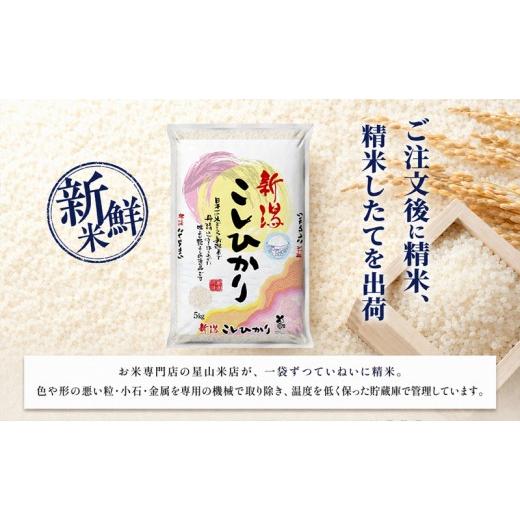 ふるさと納税 米 コシヒカリ 新潟県 新潟市 令和8年産 新米 定期便 12