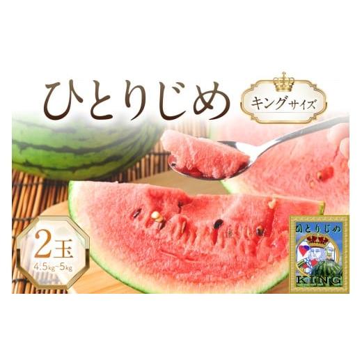 ふるさと納税 スイカ 和歌山県 御坊市 やまの農園 「ひとりじめ」キングサイズ 2玉 先行予約 2026年6月中旬より順次発送予定
