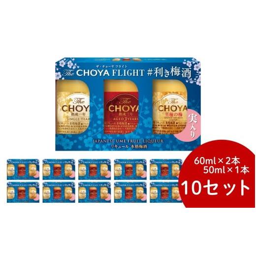 ふるさと納税 お酒 リキュール 和歌山県 すさみ町 梅酒 ザ・チョーヤ フライト The CHOYA FLIGHT #利き梅酒 10セット