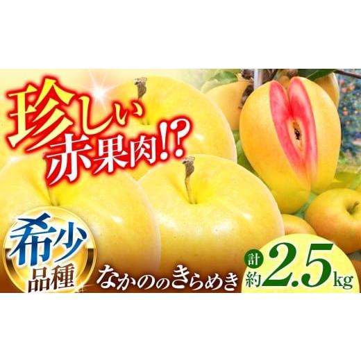 ふるさと納税 りんご 長野県 伊那市 りんご 赤果肉りんご なかののきらめき 約2.5kg | りんご 林檎 フルーツ 果物 なかののきらめき 赤果肉 こだわり 伊那 ふ…