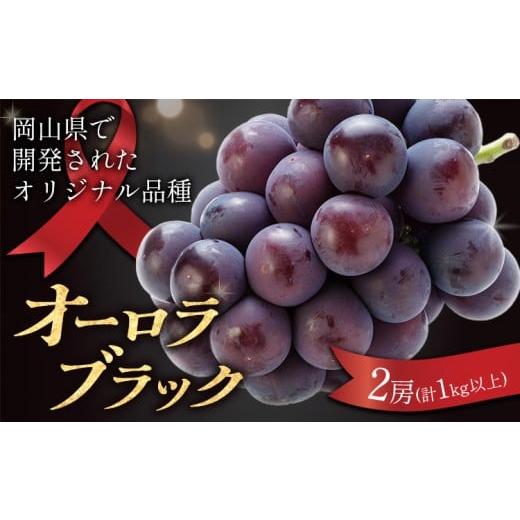 ふるさと納税 果物類 ぶどう 岡山県 浅口市 岡山県産 オーロラブラック 2房(計1kg以上) 環山堂株式会社[7月中旬-8月上旬頃出荷]岡山県 浅口市 ぶどう ブドウ…