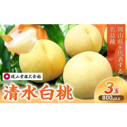 ふるさと納税 もも 岡山県 浅口市 2026年先行予約 桃 もも 清水白桃 3玉 800g以上 岡山県産 環山堂株式会社 配送不可地域あり [2026年7月中旬-7月下旬頃出荷…