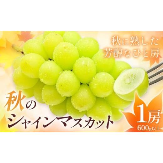 ふるさと納税 ぶどう マスカット 岡山県 浅口市 岡山県産 秋 の シャインマスカット 1房(600g以上) 環山堂株式会社[9月上旬-10月上旬頃出荷]岡山県 浅口市 …