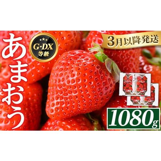 ふるさと納税 いちご 福岡県 芦屋町 2026年3月下旬以降順次発送予定 福岡県産 あまおう (計1080g・270g×4P) いちご イチゴ 苺 ストロベリー 果物 フルーツ …