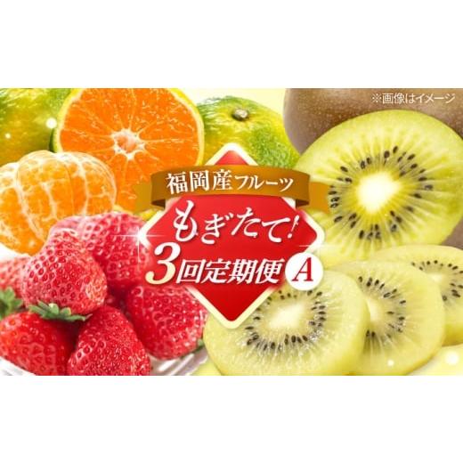 ふるさと納税 いちご 福岡県 桂川町 全3回定期便 九州・福岡もぎたて フルーツ定期便 A 桂川町/一般社団法人地域商社ふるさぽ
