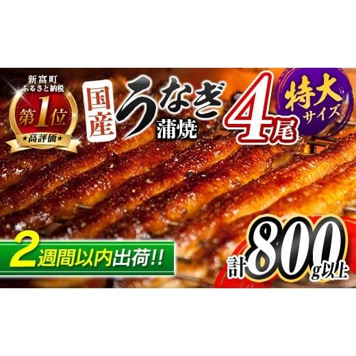 ふるさと納税 うなぎ 宮崎県 新富町 2週間以内に出荷 特大 うなぎ 鰻楽 国産 蒲焼 4尾 計800g以上 無頭 高評価 おすすめ 冷凍 簡単調理 個包装 鰻 魚介 贈答…