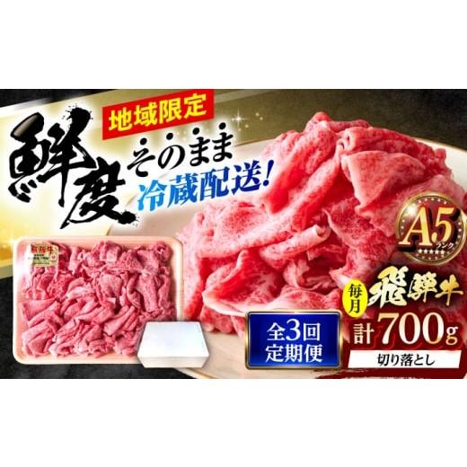ふるさと納税 牛肉 モモ 岐阜県 瑞浪市 3回定期便 冷蔵配送/地域限定 飛騨牛 切落し (モモまたはカタ) 700g 瑞浪市 / きなぁた瑞浪 和牛 国産 岐阜県産 AZC…