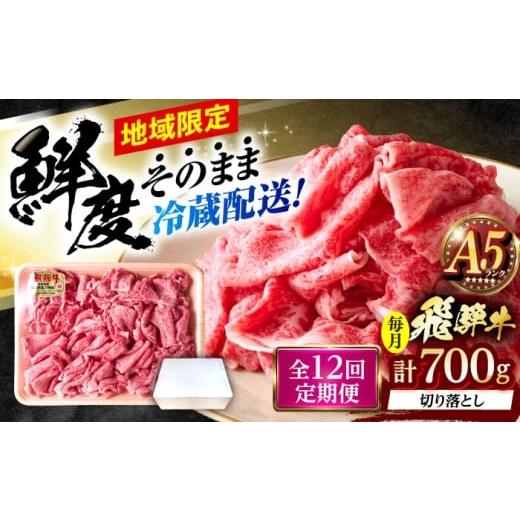 ふるさと納税 牛肉 モモ 岐阜県 瑞浪市 12回定期便 冷蔵配送/地域限定 飛騨牛 切落し (モモまたはカタ) 700g 瑞浪市 / きなぁた瑞浪 和牛 国産 岐阜県産 AZ…