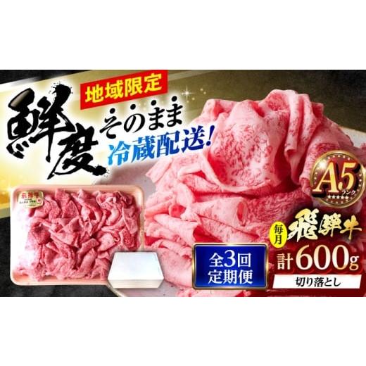 ふるさと納税 牛肉 ロース 岐阜県 瑞浪市 3回定期便 冷蔵配送/地域限定 飛騨牛 切落し (ロースまたは肩ロース) 600g 瑞浪市 / きなぁた瑞浪?和牛 国産 岐阜…