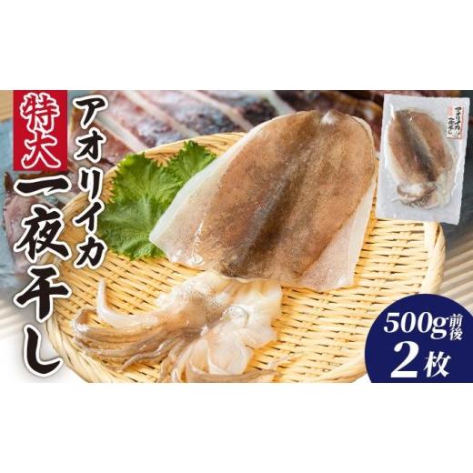 ふるさと納税 干物 イカ 高知県 東洋町 アオリイカ一夜干し特大(500g前後)2枚 2枚