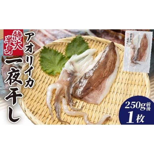ふるさと納税 干物 イカ 高知県 東洋町 アオリイカ一夜干し 特大 半身(250g前後)1枚 1枚