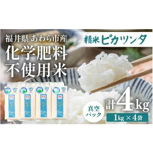 ふるさと納税 米 福井県 あわら市 令和7年産 化学肥料不使用 ピカツンタ 精米 4kg(真空パック1kg×4袋) aw010-a025