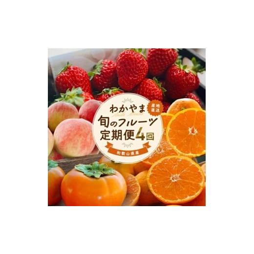 ふるさと納税 いちご 和歌山県 かつらぎ町 わかやま 旬の フルーツ 定期便 S 全4回 / 有田みかん まりひめ いちご 桃 柿 北海道・沖縄・離島への配送不可 AA-…