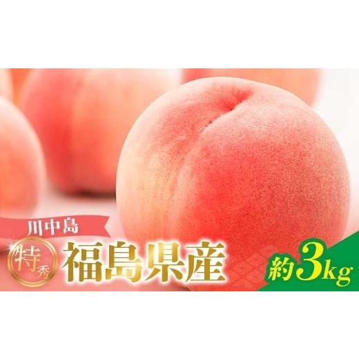 ふるさと納税 もも 福島県 伊達市 2026年先行予約 <冷蔵配送> 糖度12度以上 特秀 福島県産 川中島白桃 約3kg 透過式光センサー選別 数量限定 期間限定 …