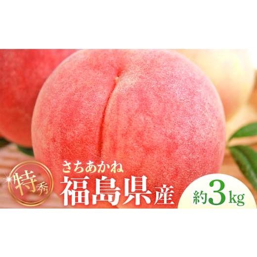 ふるさと納税 もも 福島県 伊達市 2026年先行予約 <冷蔵配送> 糖度12度以上 特秀 福島県産 さちあかね 約3kg 透過式光センサー選別 数量限定 期間限定 …