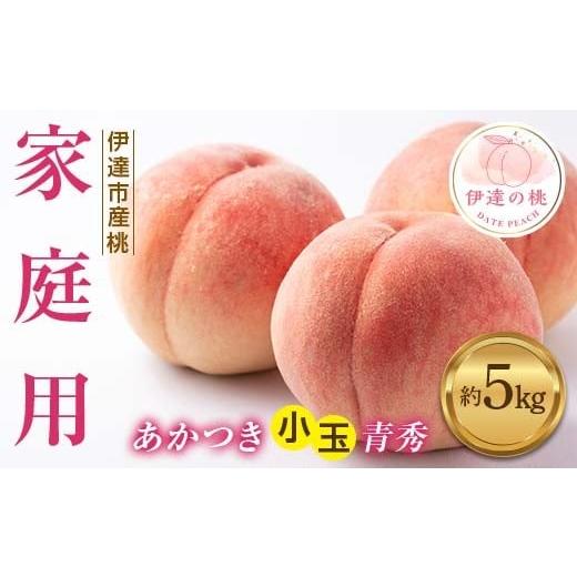 ふるさと納税 もも 福島県 伊達市 2026年先行予約 <冷蔵配送> 家庭用 あかつき 約5kg 小玉 青秀 不揃い 透過式光センサー選別 数量限定 期間限定 桃 も…