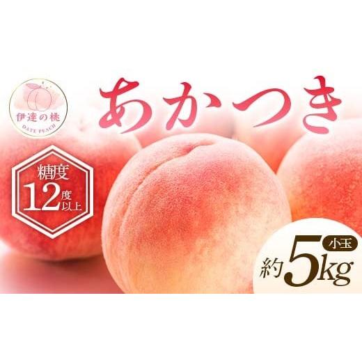 ふるさと納税 もも 福島県 伊達市 2026年出荷分先行予約 <冷蔵配送>福島県産 特秀 あかつき 約5kg (20〜22玉) ふくしま未来農業協同組合 特秀 小玉 透…