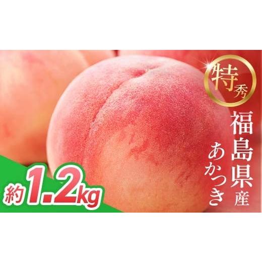 ふるさと納税 もも 福島県 伊達市 2026年先行予約 <冷蔵配送> 糖度12度以上 特秀 福島県産 桃 あかつき 約1.2kg 透過式光センサー選別 数量限定 期間限…