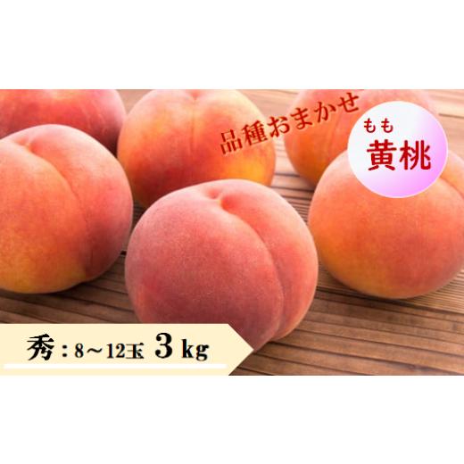 ふるさと納税 もも 山形県 天童市 08-08-047 もも(品種おまかせ黄桃)3kg