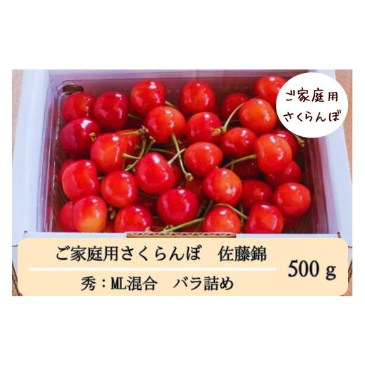 ふるさと納税 果物類 さくらんぼ 山形県 天童市 08-08-048 ご家庭用さくらんぼ(佐藤錦)500g