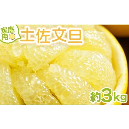 ふるさと納税 みかん・柑橘類 高知県 香南市 土佐文旦 家庭用 3kg 大小混合(サイズ:L〜3L) 高知 大玉 小玉 混合 訳あり 傷 果物 文旦 ぶんたん ブンタン フル…