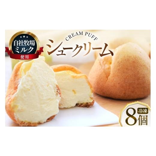 ふるさと納税 焼菓子・チョコレート 北海道 砂川市 シュークリーム 冷凍 8個 岩瀬牧場 北海道 砂川市 12260955 冷凍配送 お菓子 おやつ お取り寄せ スイーツ …
