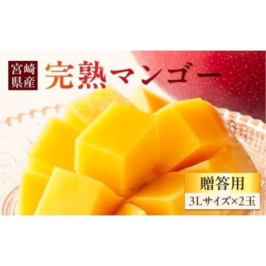 ふるさと納税 マンゴー 宮崎県 宮崎市 [2026年発送先行予約] 数量・期間限定 贈答用 La Brilliant Mango(3L×2玉)_M307-005-01 51,000円 贈答用 3L×2玉