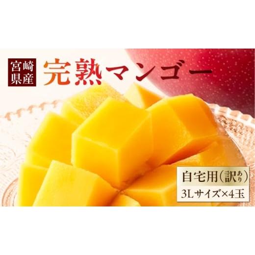 ふるさと納税 マンゴー 宮崎県 宮崎市 [2026年発送先行予約] 数量・期間限定 自宅用(訳あり) La Brilliant Mango(3L×4玉)_M307-005-02 56,000円 自宅用(訳…