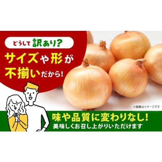 ふるさと納税 野菜類 玉ねぎ 佐賀県 江北町  今が旬 訳あり 玉ねぎ 10kg   えぐちファーム 不揃い たまねぎ HDE004の画像
