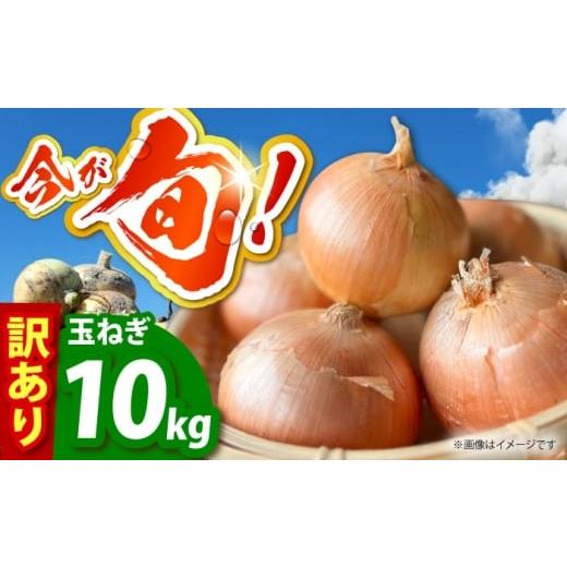 ふるさと納税 野菜類 玉ねぎ 佐賀県 江北町  今が旬 訳あり 玉ねぎ 10kg   えぐちファーム 不揃い たまねぎ HDE004の画像