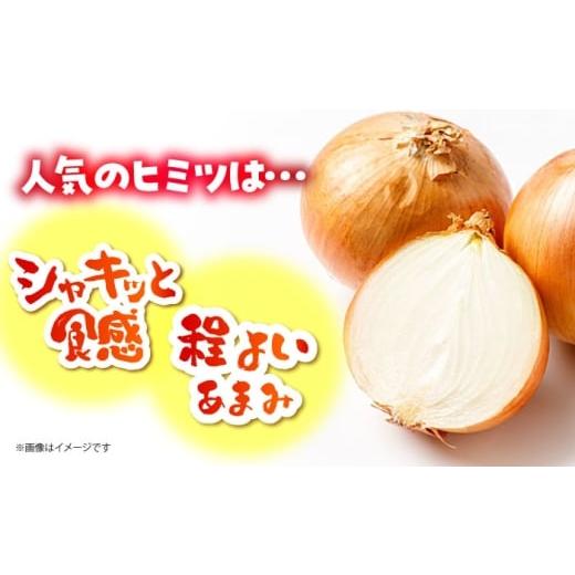 ふるさと納税 野菜類 玉ねぎ 佐賀県 江北町  今が旬 訳あり 玉ねぎ 10kg   えぐちファーム 不揃い たまねぎ HDE004の画像