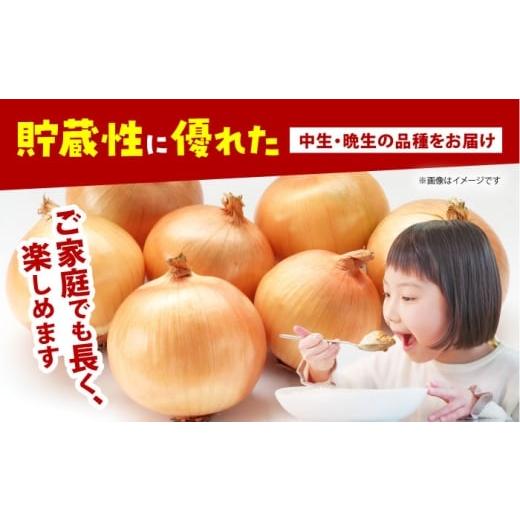 ふるさと納税 野菜類 玉ねぎ 佐賀県 江北町  今が旬 訳あり 玉ねぎ 10kg   えぐちファーム 不揃い たまねぎ HDE004の画像
