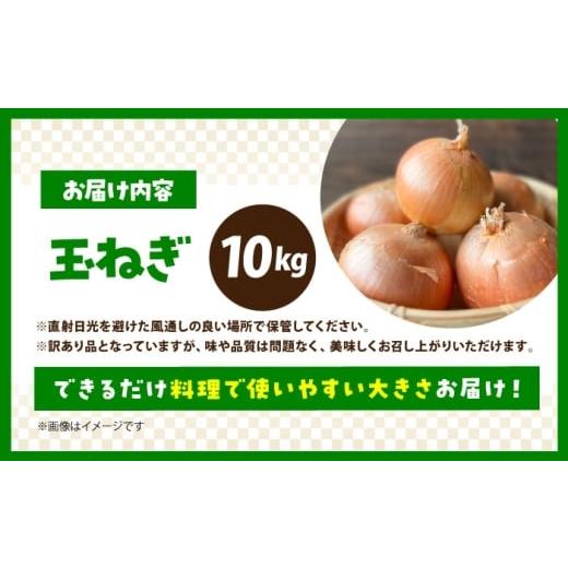 ふるさと納税 野菜類 玉ねぎ 佐賀県 江北町  今が旬 訳あり 玉ねぎ 10kg   えぐちファーム 不揃い たまねぎ HDE004の画像