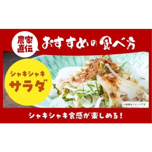 ふるさと納税 野菜類 玉ねぎ 佐賀県 江北町  今が旬 訳あり 玉ねぎ 10kg   えぐちファーム 不揃い たまねぎ HDE004の画像
