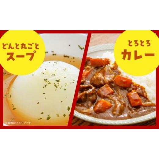 ふるさと納税 野菜類 玉ねぎ 佐賀県 江北町  今が旬 訳あり 玉ねぎ 10kg   えぐちファーム 不揃い たまねぎ HDE004の画像