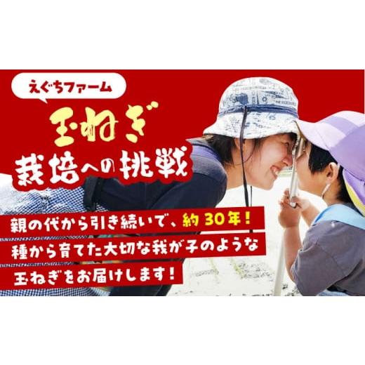 ふるさと納税 野菜類 玉ねぎ 佐賀県 江北町  今が旬 訳あり 玉ねぎ 10kg   えぐちファーム 不揃い たまねぎ HDE004の画像
